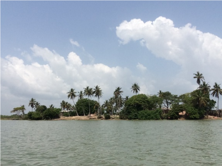 Suivi des risques cotiers et solutions douces2